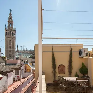 Botanic Duplex Terrace 5 Pax Seville